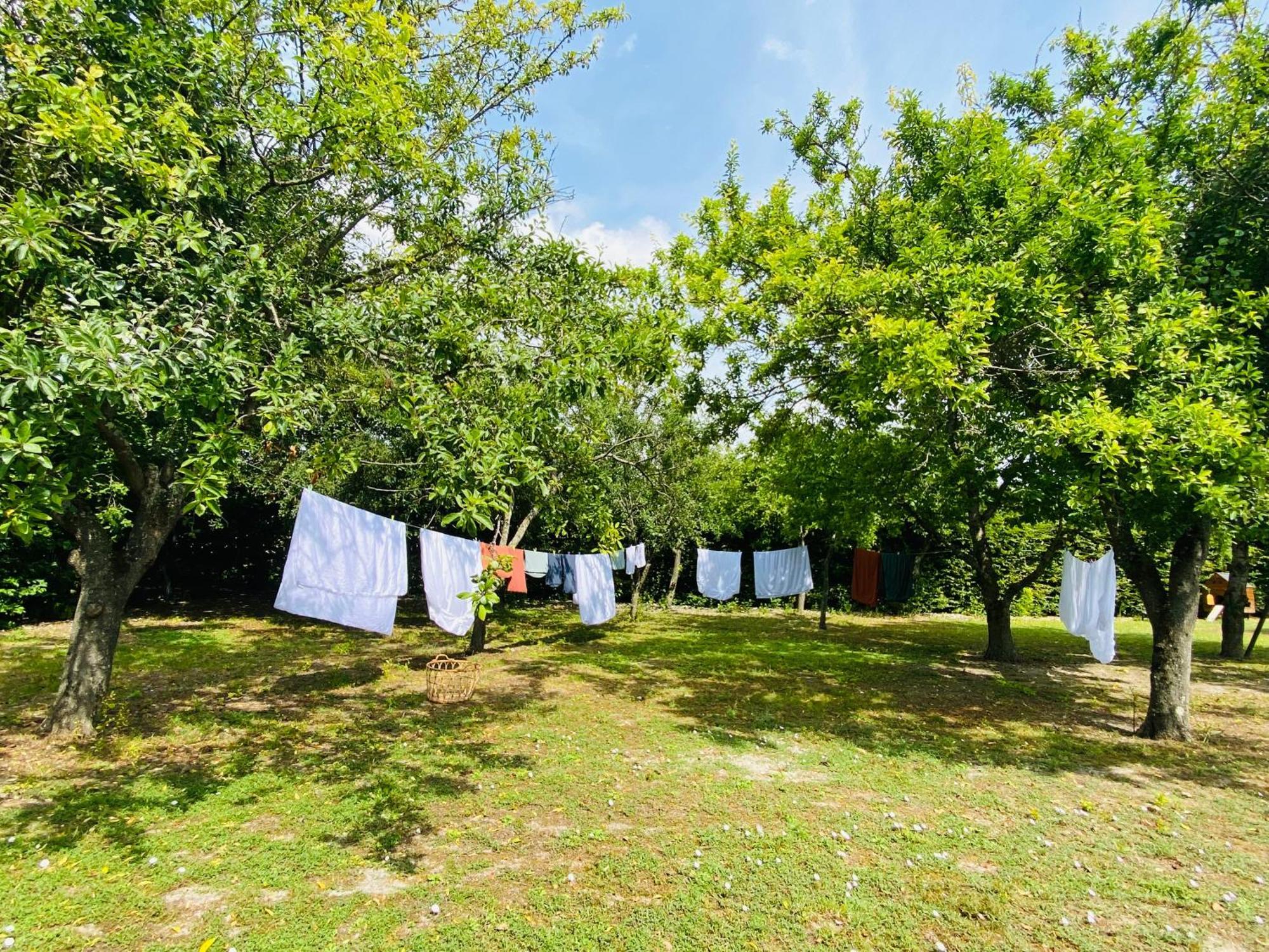 L'Ecrin De Verdure Ligré Buitenkant foto