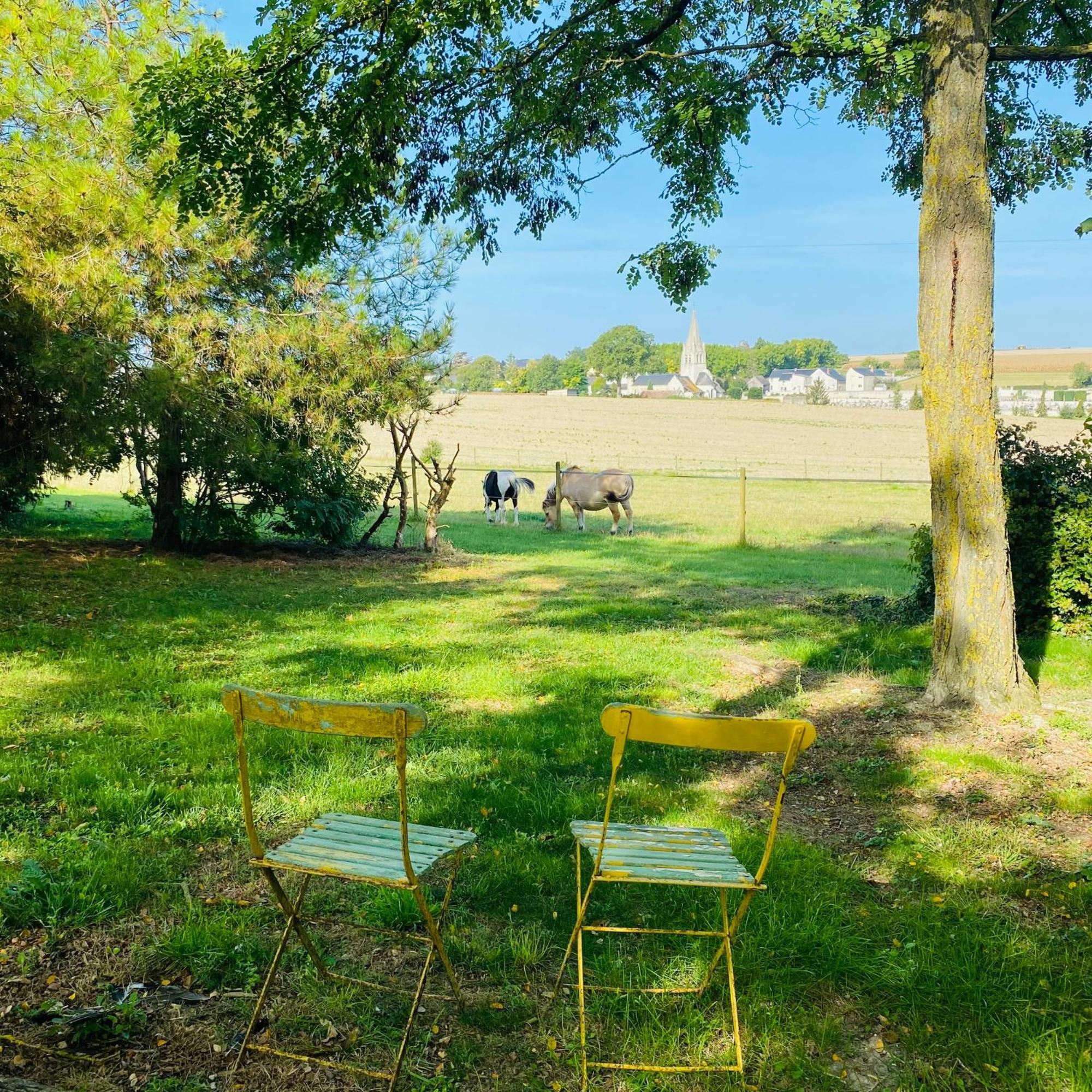 L'Ecrin De Verdure Ligré Buitenkant foto
