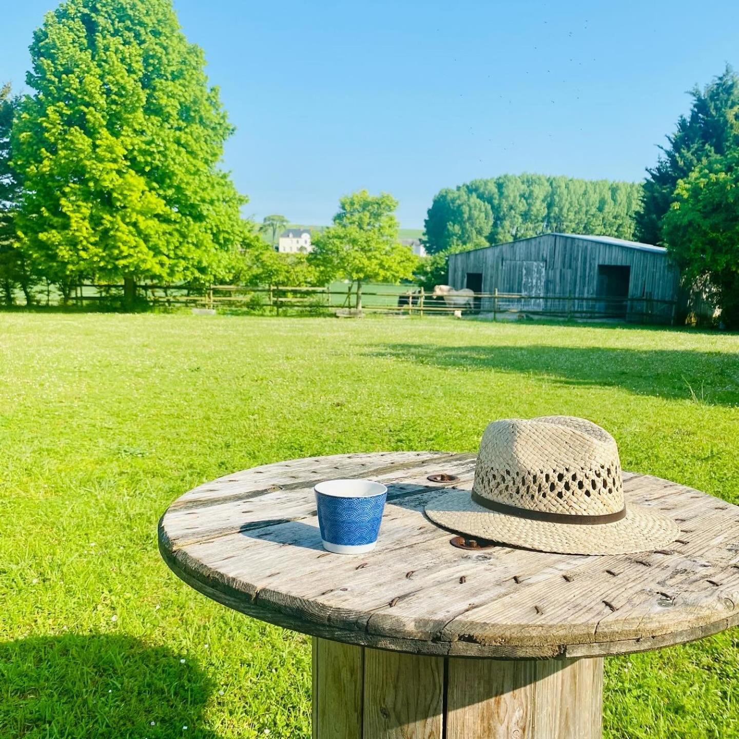 L'Ecrin De Verdure Ligré Buitenkant foto