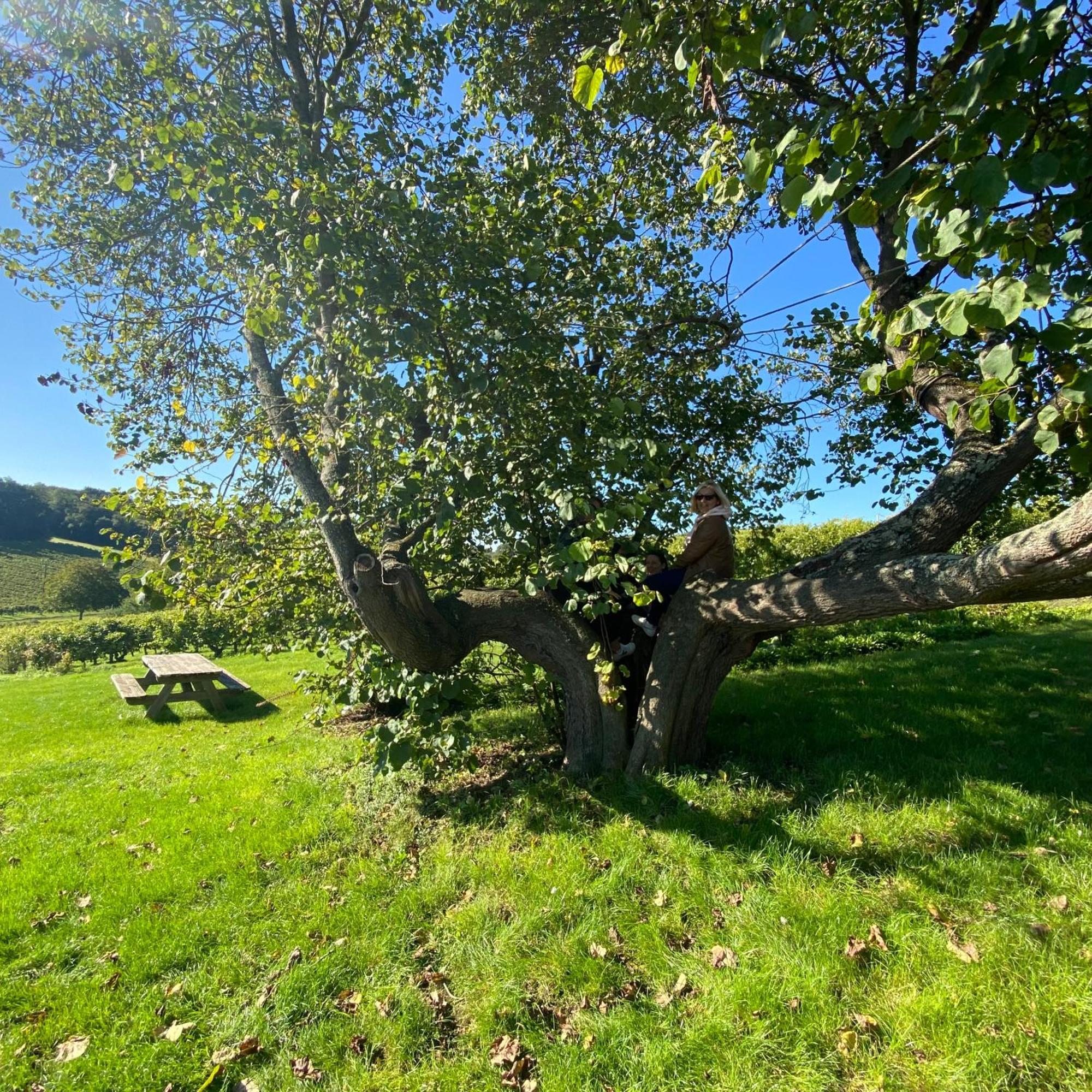L'Ecrin De Verdure Ligré Buitenkant foto